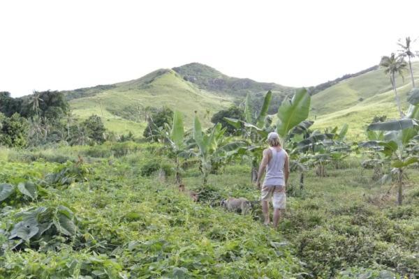 Bay Of Plenty Nature Lodge Nanuya Lailai エクステリア 写真
