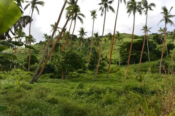Bay Of Plenty Nature Lodge Nanuya Lailai エクステリア 写真