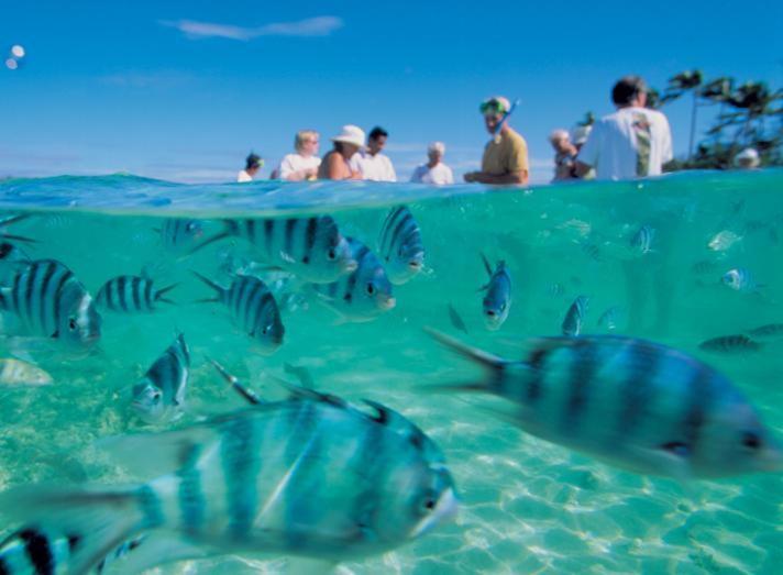 Bay Of Plenty Nature Lodge Nanuya Lailai エクステリア 写真